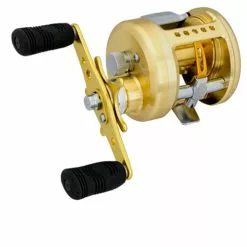 Daiwa TD Luna Baitcast Reel