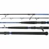 Daiwa Saltist X Spin Rods